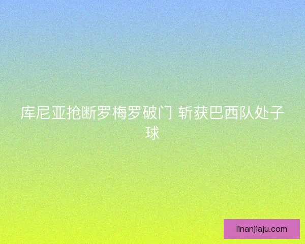 库尼亚抢断罗梅罗破门 斩获巴西队处子球